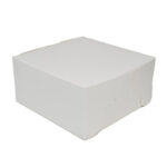 Cake Box White 10x10x5”
