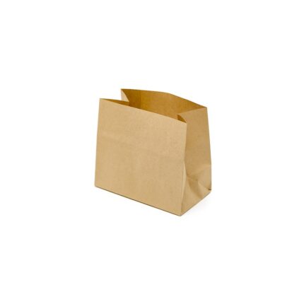#1 ECO Kraft Bag