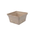 2.5 Quart Paper Berry Tray